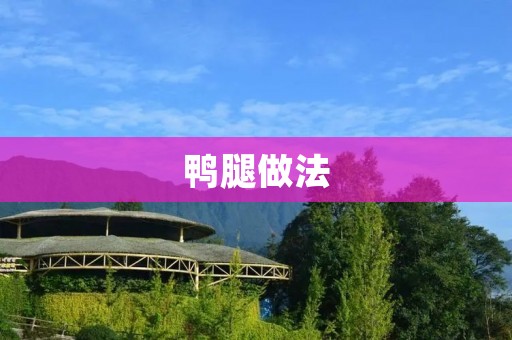 鸭腿做法:美味可口的佳肴 鸭腿做法:美味可口的佳肴