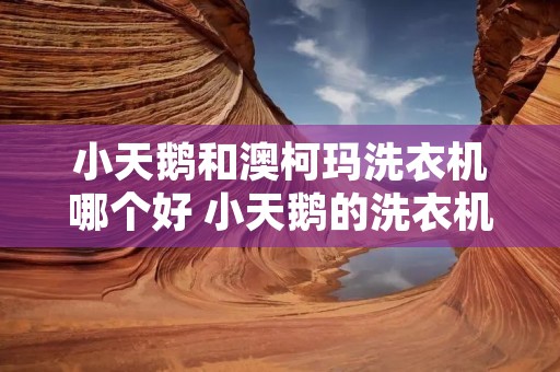 小天鹅和澳柯玛洗衣机哪个好 小天鹅的洗衣机好还是澳柯玛的好 小天鹅和澳柯玛洗衣机哪个好 小天鹅的洗衣机好还是澳柯玛的好