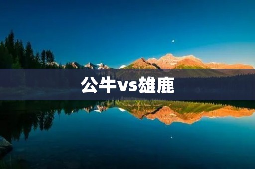 公牛vs雄鹿:一场焦点之战 公牛vs雄鹿:一场焦点之战