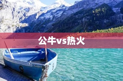 公牛vs热火：一场激动人心的对决