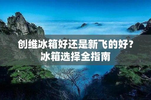 创维冰箱好还是新飞的好?冰箱选择全指南 创维冰箱好还是新飞的好?冰箱选择全指南
