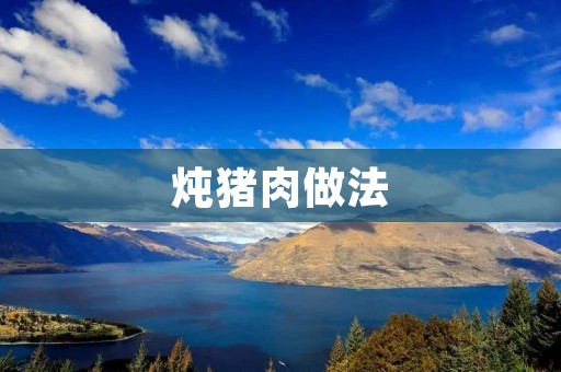 炖猪肉做法：美味鲜香的家常炖猪肉