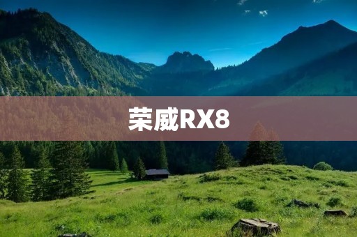 荣威RX8：豪华SUV新宠
