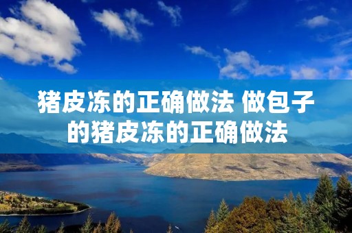 猪皮冻的正确做法 做包子的猪皮冻的正确做法
