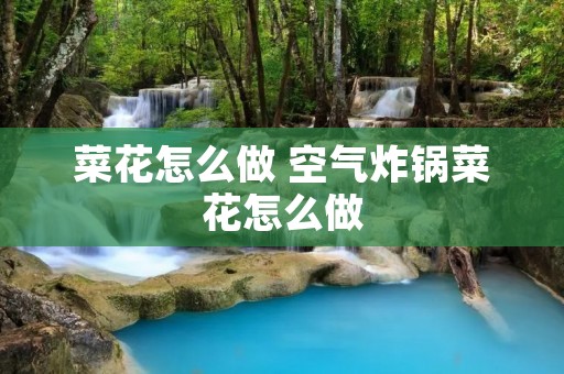 菜花怎么做 空气炸锅菜花怎么做