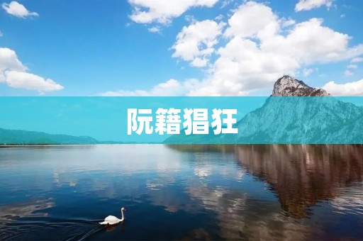 阮籍猖狂:一个文人的狂放与无奈