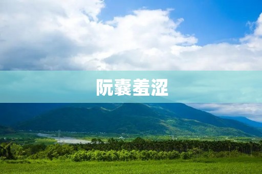 阮囊羞涩:解读中国传统文化中的羞涩之美