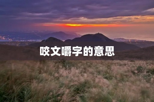 咬文嚼字的意思：追求文字准确性与精细程度的重要性