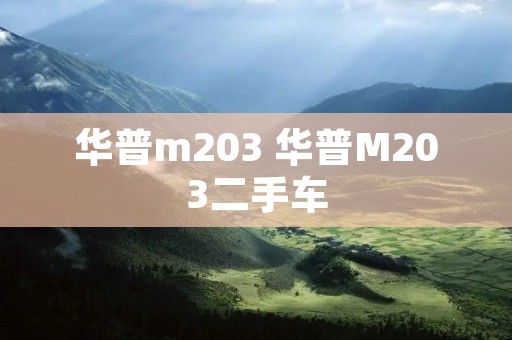 华普m203 华普M203二手车