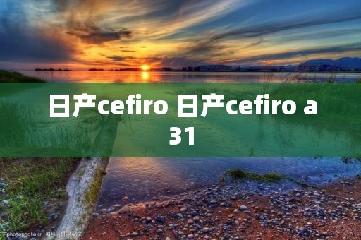 日产cefiro 日产cefiro a31 日产cefiro 日产cefiro a31