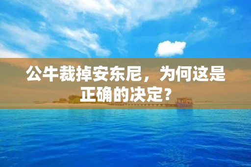 公牛裁掉安东尼，为何这是正确的决定？
