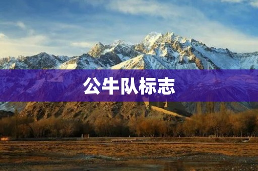 公牛队标志:传承与创新的象征 公牛队标志:传承与创新的象征