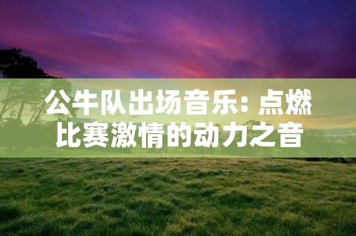 公牛队出场音乐: 点燃比赛**的动力之音