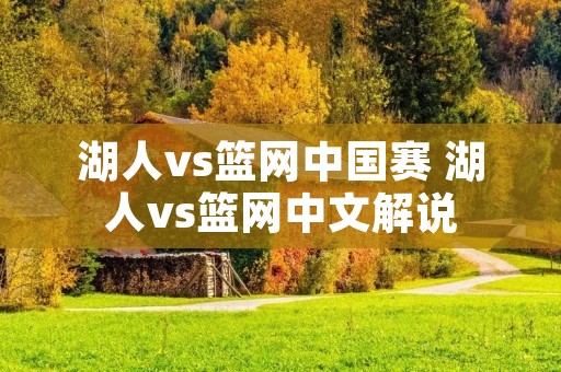 湖人vs篮网中国赛 湖人vs篮网中文解说