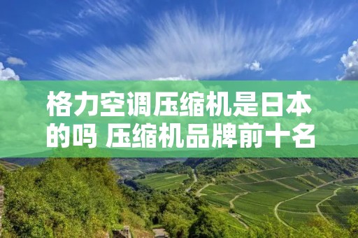 格力空调压缩机是日本的吗 压缩机品牌前十名 格力空调压缩机是日本的吗 压缩机品牌前十名