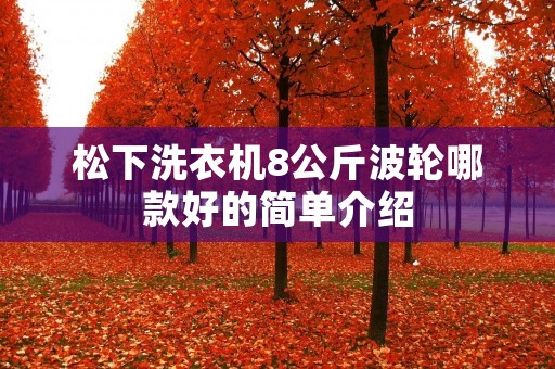 松下洗衣机8公斤波轮哪款好的简单介绍