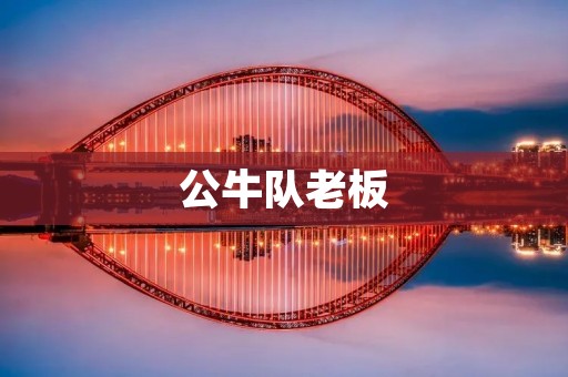 公牛队老板:一个执着与**的领导者 公牛队老板:一个执着与**的领导者