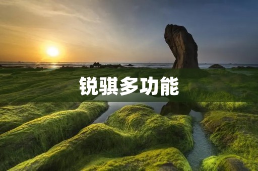锐骐多功能：一款领先的多功能车型