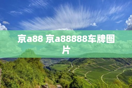 京a88 京a88888车牌图片