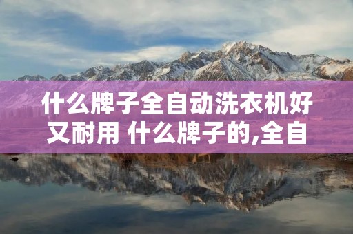 什么牌子全自动洗衣机好又耐用 什么牌子的,全自动洗衣机,好一些
