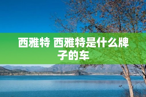 西雅特 西雅特是什么牌子的车