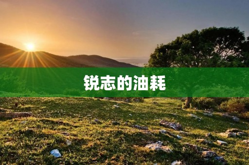 锐志的油耗:如何优化燃油效率 锐志的油耗:如何优化燃油效率