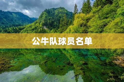 公牛队球员名单:新赛季阵容大揭秘 公牛队球员名单:新赛季阵容大揭秘