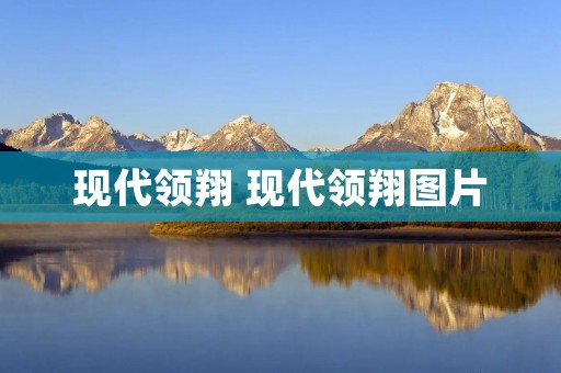 现代领翔 现代领翔图片