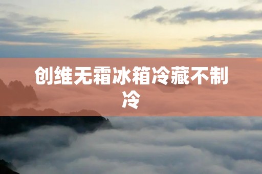 创维无霜冰箱冷藏不制冷：原因分析与解决方法