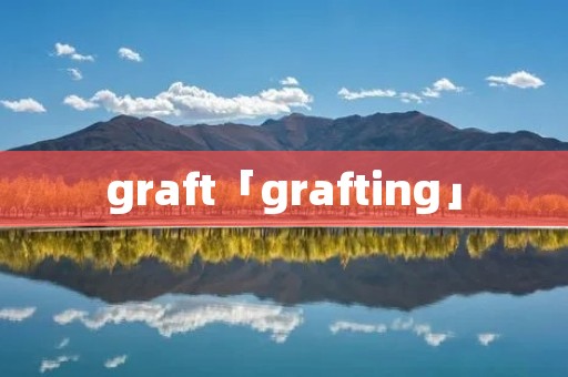 graft「grafting」