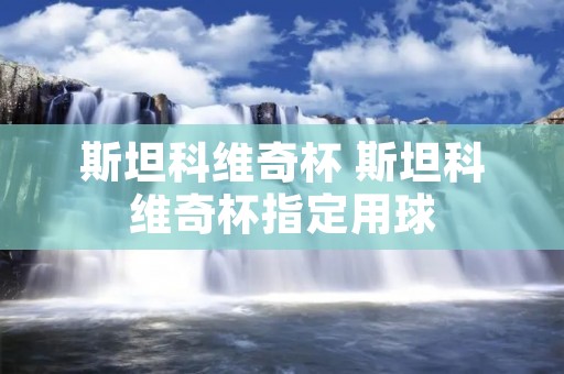 斯坦科维奇杯 斯坦科维奇杯指定用球 斯坦科维奇杯 斯坦科维奇杯指定用球