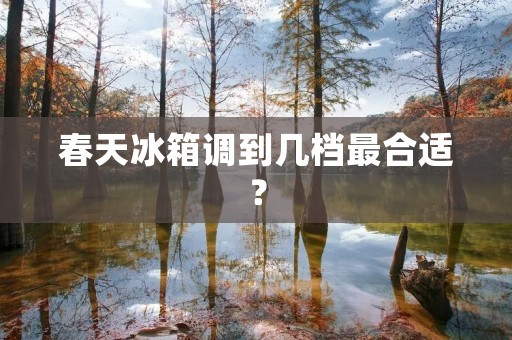 春天冰箱调到几档最合适？