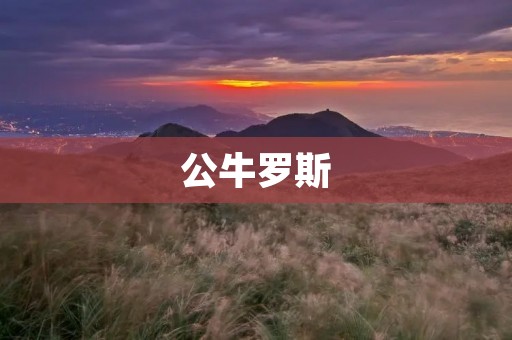 公牛罗斯:一个伟大的篮球传奇 公牛罗斯:一个伟大的篮球传奇