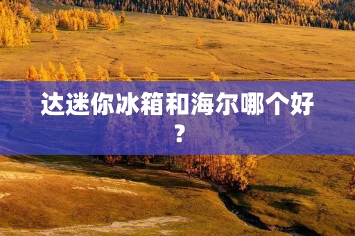 达迷你冰箱和海尔哪个好? 达迷你冰箱和海尔哪个好?