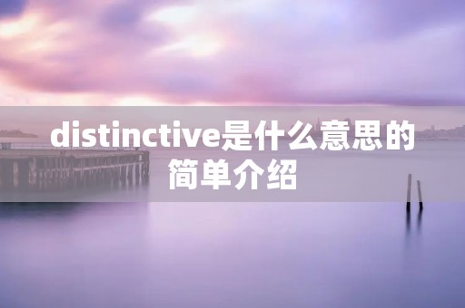 distinctive是什么意思的简单介绍