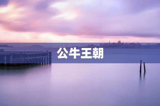 公牛王朝：乔丹时代的辉煌篇章