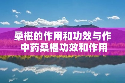 桑椹的作用和功效与作 中药桑椹功效和作用