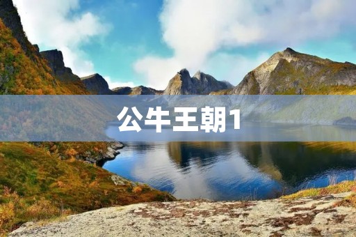 公牛王朝1：伟大的篇章展开