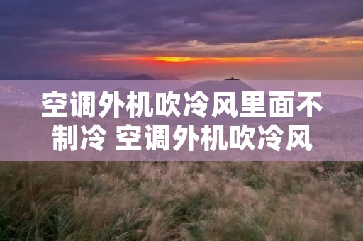 空调外机吹冷风里面不制冷 空调外机吹冷风里面不制冷水管不出水 空调外机吹冷风里面不制冷 空调外机吹冷风里面不制冷水管不出水