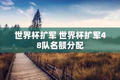 世界杯扩军 世界杯扩军48队名额分配 世界杯扩军 世界杯扩军48队名额分配