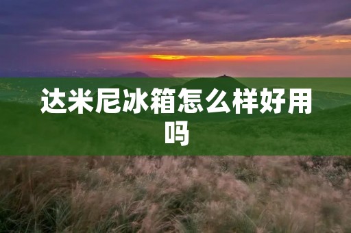 达米尼冰箱怎么样好用吗