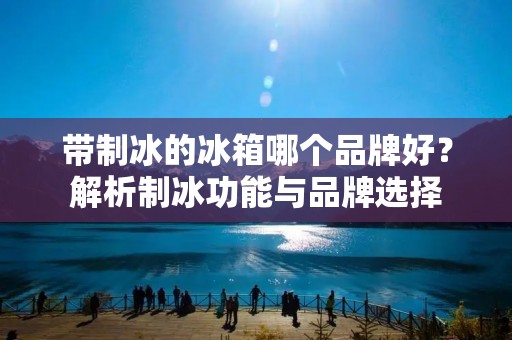 带制冰的冰箱哪个品牌好?解析制冰功能与品牌选择 带制冰的冰箱哪个品牌好?解析制冰功能与品牌选择