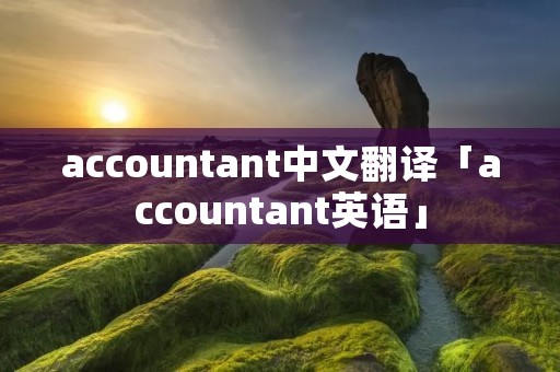 accountant中文翻译「accountant英语」