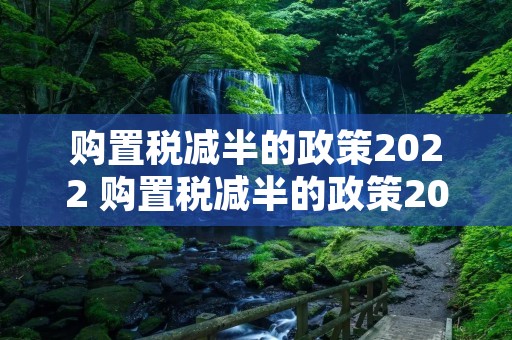 购置税减半的政策2022 购置税减半的政策2022有额度吗 购置税减半的政策2022 购置税减半的政策2022有额度吗
