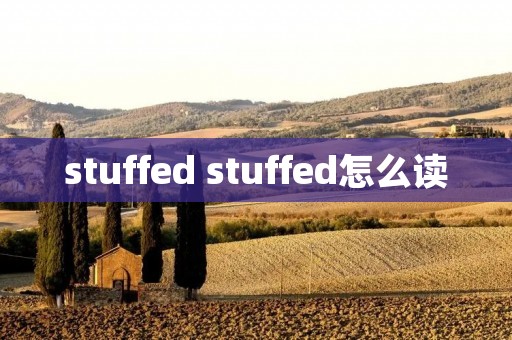 stuffed stuffed怎么读 stuffed stuffed怎么读