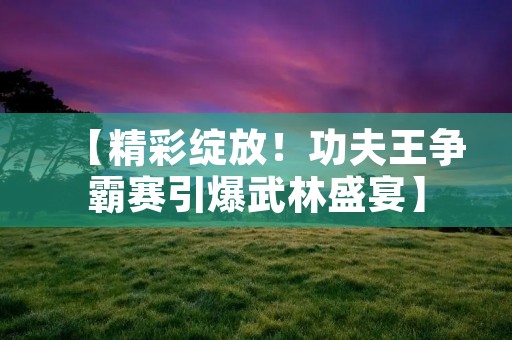 【精彩绽放！功夫王争霸赛引爆武林盛宴】