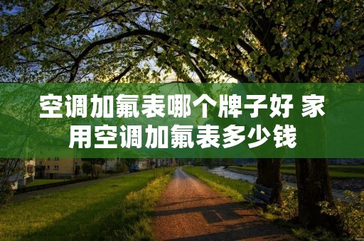 空调加氟表哪个牌子好 家用空调加氟表多少钱 空调加氟表哪个牌子好 家用空调加氟表多少钱