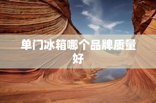 单门冰箱哪个品牌质量好