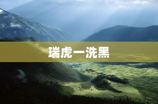 瑞虎一洗黑:揭秘瑞虎洗黑产业链与应对之策