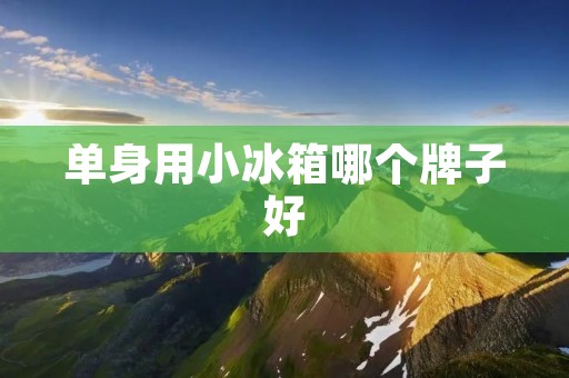 单身用小冰箱哪个牌子好